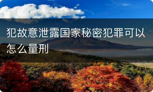 犯故意泄露国家秘密犯罪可以怎么量刑
