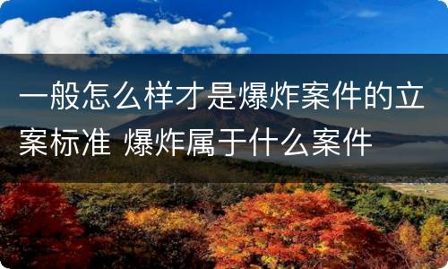 一般怎么样才是爆炸案件的立案标准 爆炸属于什么案件