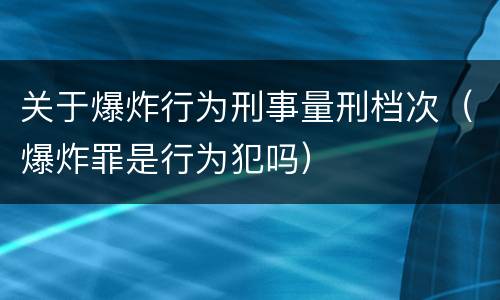 关于爆炸行为刑事量刑档次（爆炸罪是行为犯吗）