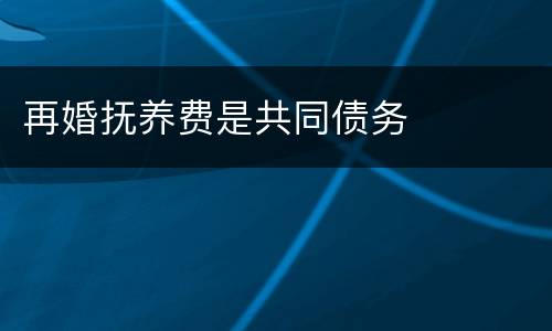 再婚抚养费是共同债务