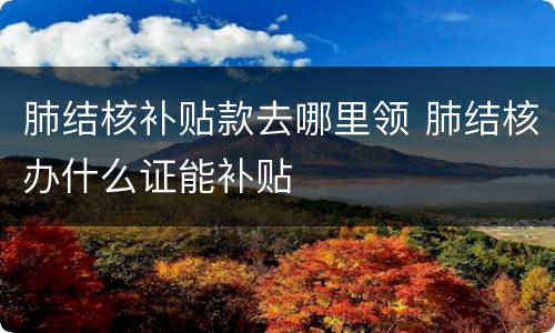 肺结核补贴款去哪里领 肺结核办什么证能补贴