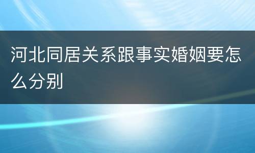 河北同居关系跟事实婚姻要怎么分别