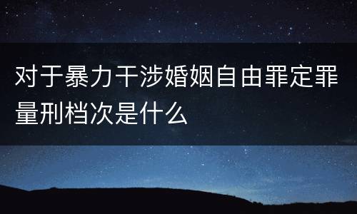 对于暴力干涉婚姻自由罪定罪量刑档次是什么