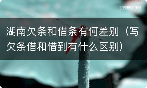 湖南欠条和借条有何差别（写欠条借和借到有什么区别）