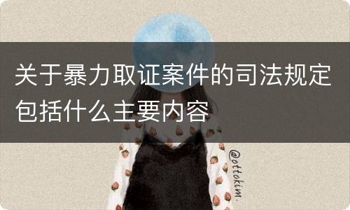 关于暴力取证案件的司法规定包括什么主要内容