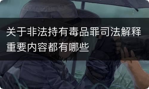 关于非法持有毒品罪司法解释重要内容都有哪些
