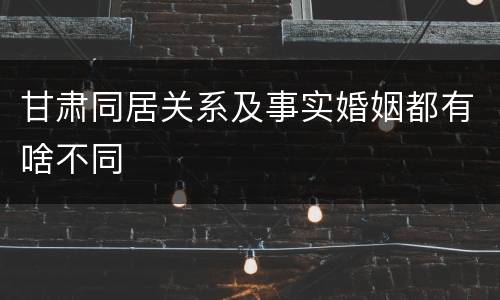 甘肃同居关系及事实婚姻都有啥不同