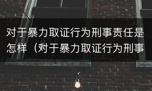 对于暴力取证行为刑事责任是怎样（对于暴力取证行为刑事责任是怎样定义的）