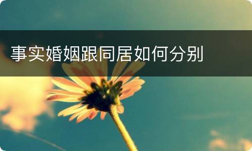事实婚姻跟同居如何分别