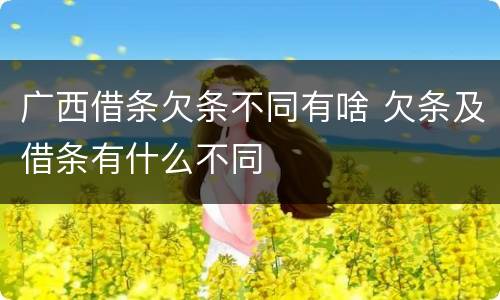 广西借条欠条不同有啥 欠条及借条有什么不同