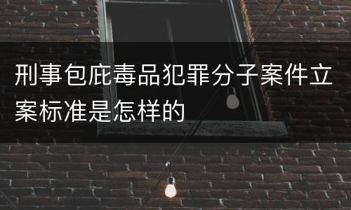 刑事包庇毒品犯罪分子案件立案标准是怎样的