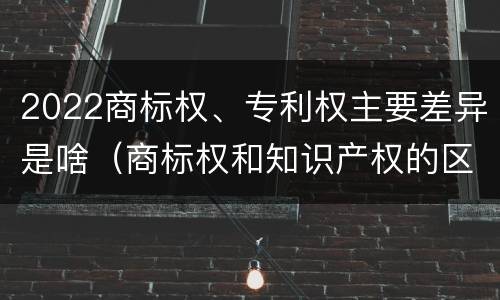 2022商标权、专利权主要差异是啥（商标权和知识产权的区别）