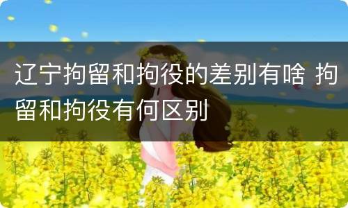 辽宁拘留和拘役的差别有啥 拘留和拘役有何区别