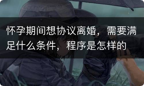 怀孕期间想协议离婚，需要满足什么条件，程序是怎样的