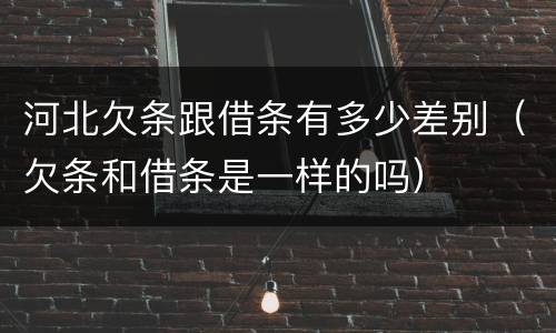 河北欠条跟借条有多少差别（欠条和借条是一样的吗）