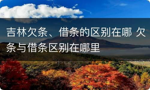 吉林欠条、借条的区别在哪 欠条与借条区别在哪里
