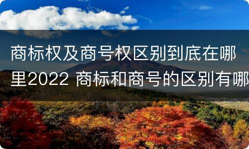 商标权及商号权区别到底在哪里2022 商标和商号的区别有哪些?