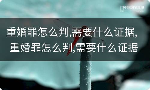 重婚罪怎么判,需要什么证据, 重婚罪怎么判,需要什么证据才能判