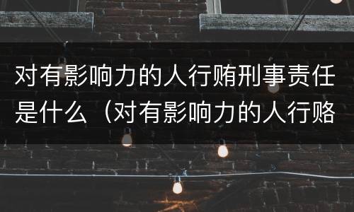 对有影响力的人行贿刑事责任是什么（对有影响力的人行赂罪的犯罪构成）