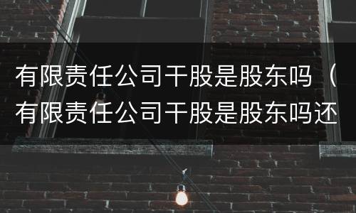 有限责任公司干股是股东吗（有限责任公司干股是股东吗还是董事）