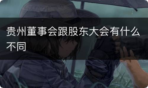 贵州董事会跟股东大会有什么不同
