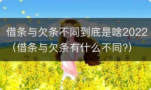 借条与欠条不同到底是啥2022（借条与欠条有什么不同?）