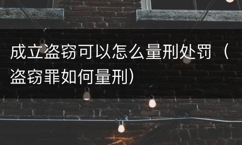 成立盗窃可以怎么量刑处罚（盗窃罪如何量刑）