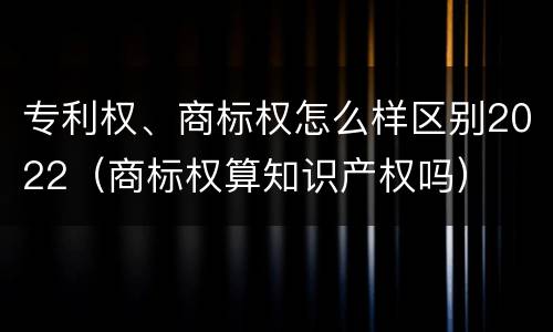 专利权、商标权怎么样区别2022（商标权算知识产权吗）