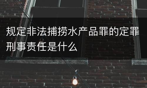 规定非法捕捞水产品罪的定罪刑事责任是什么