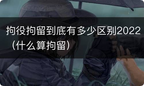 拘役拘留到底有多少区别2022（什么算拘留）