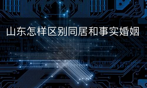 山东怎样区别同居和事实婚姻