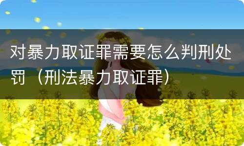 对暴力取证罪需要怎么判刑处罚（刑法暴力取证罪）