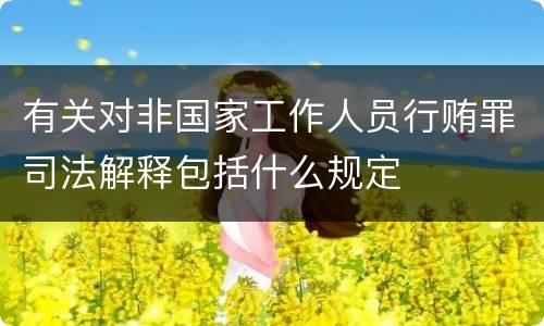 有关对非国家工作人员行贿罪司法解释包括什么规定