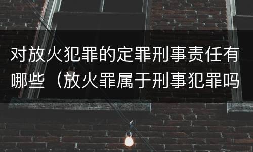 对放火犯罪的定罪刑事责任有哪些（放火罪属于刑事犯罪吗）