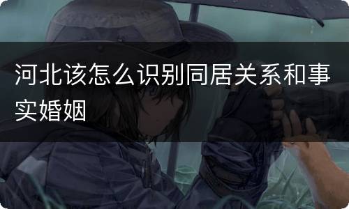 河北该怎么识别同居关系和事实婚姻