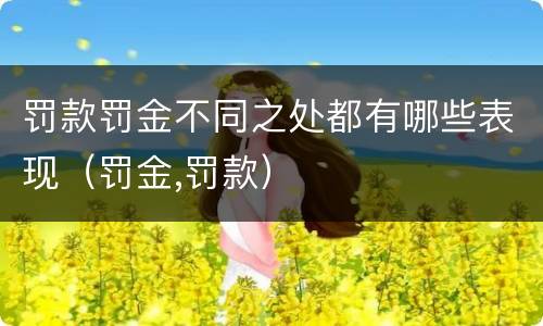 罚款罚金不同之处都有哪些表现（罚金,罚款）