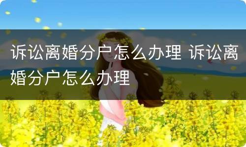 诉讼离婚分户怎么办理 诉讼离婚分户怎么办理