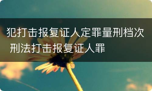 犯打击报复证人定罪量刑档次 刑法打击报复证人罪