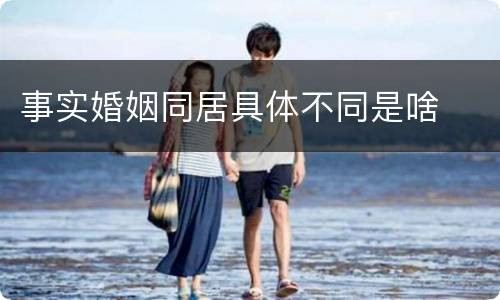 事实婚姻同居具体不同是啥