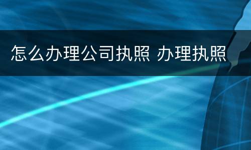 怎么办理公司执照 办理执照