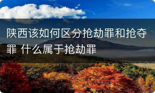 陕西该如何区分抢劫罪和抢夺罪 什么属于抢劫罪