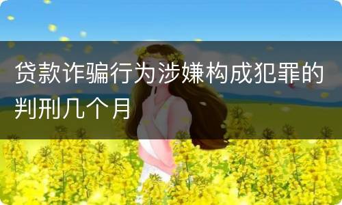 贷款诈骗行为涉嫌构成犯罪的判刑几个月