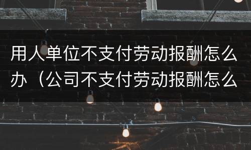 用人单位不支付劳动报酬怎么办（公司不支付劳动报酬怎么办）