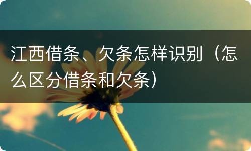 江西借条、欠条怎样识别（怎么区分借条和欠条）