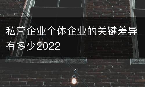 私营企业个体企业的关键差异有多少2022