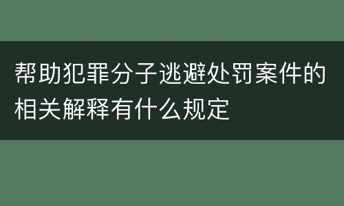 帮助犯罪分子逃避处罚案件的相关解释有什么规定