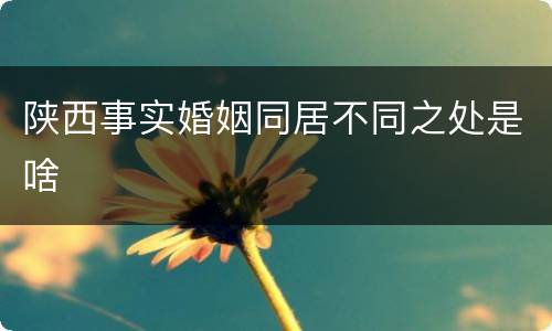 陕西事实婚姻同居不同之处是啥