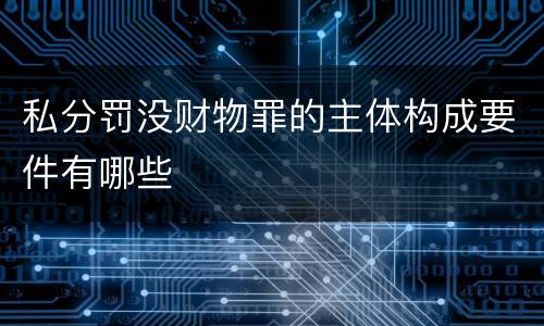 私分罚没财物罪的主体构成要件有哪些