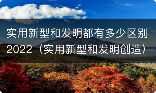 实用新型和发明都有多少区别2022（实用新型和发明创造）