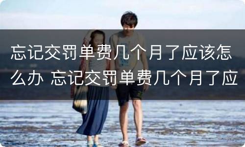 忘记交罚单费几个月了应该怎么办 忘记交罚单费几个月了应该怎么办理